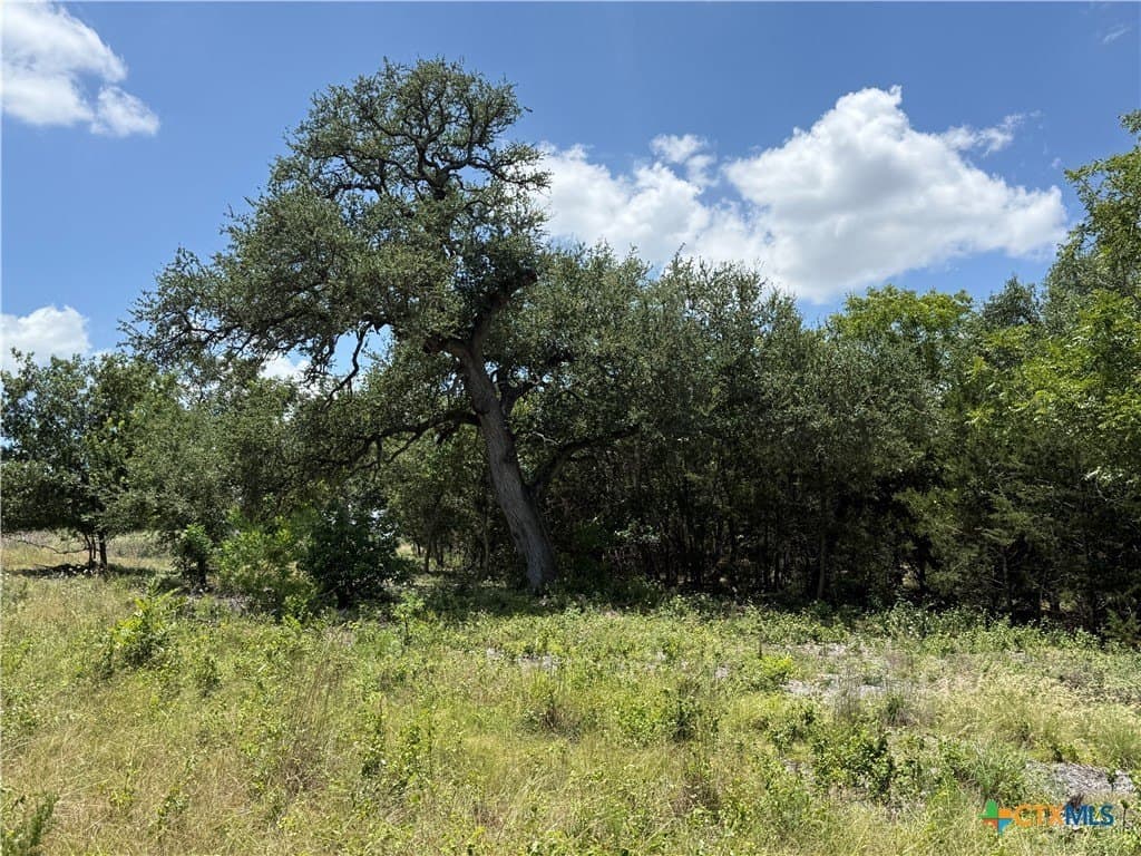 2.14 acres in Bell County gallery image 3