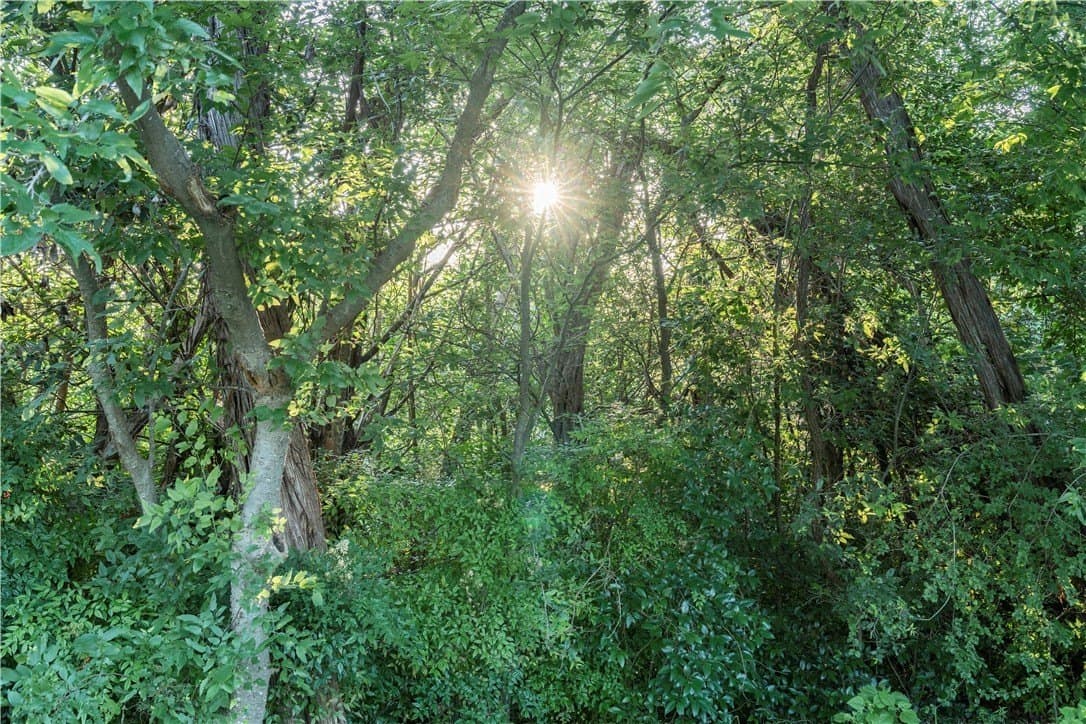 0.34 acres in McLennan County - photo 5