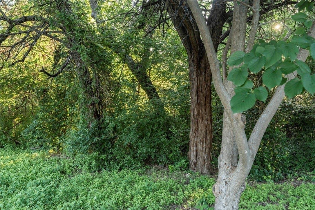 0.34 acres in McLennan County - photo 8
