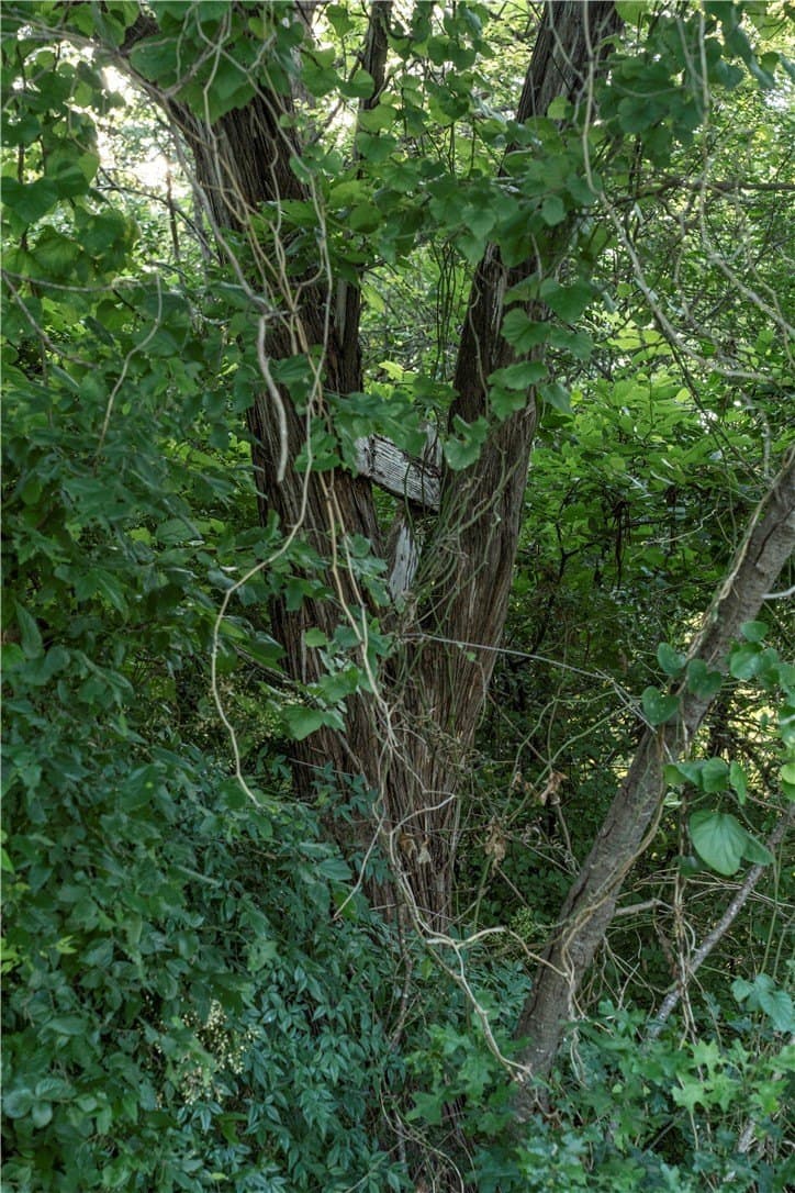 0.34 acres in McLennan County - photo 6