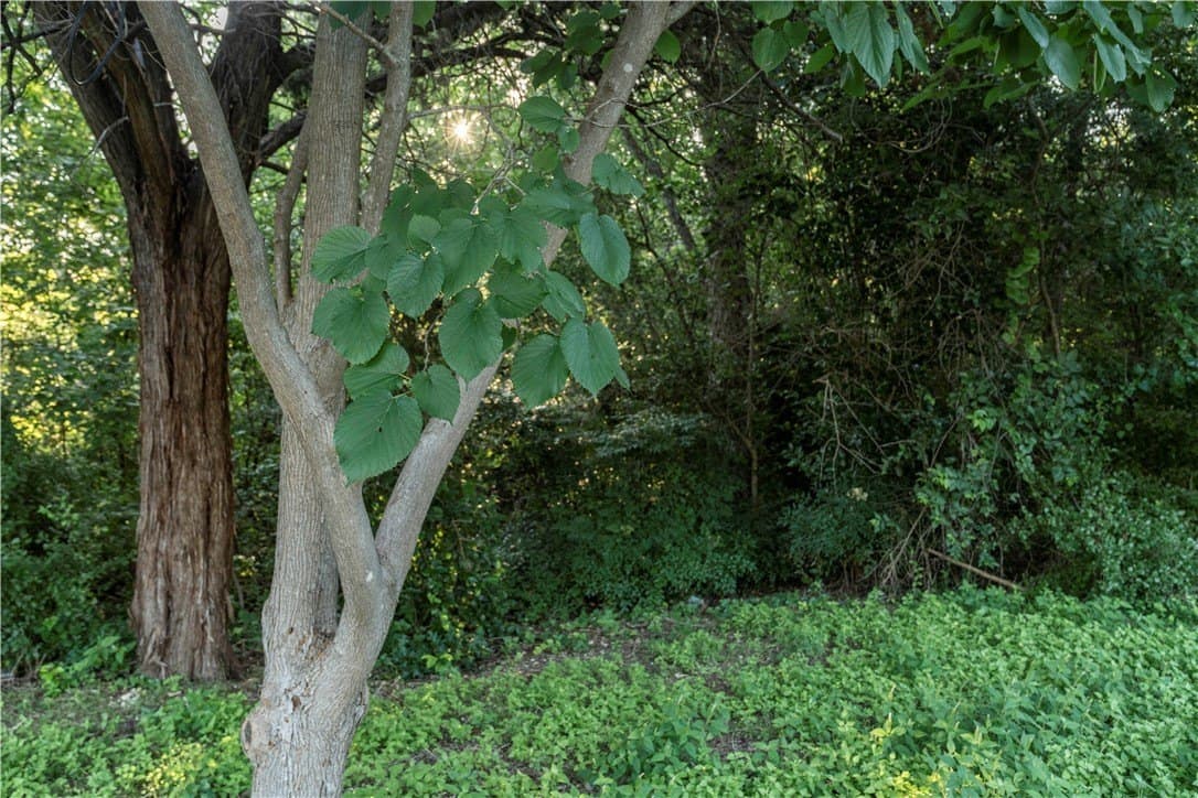 0.34 acres in McLennan County - photo 7