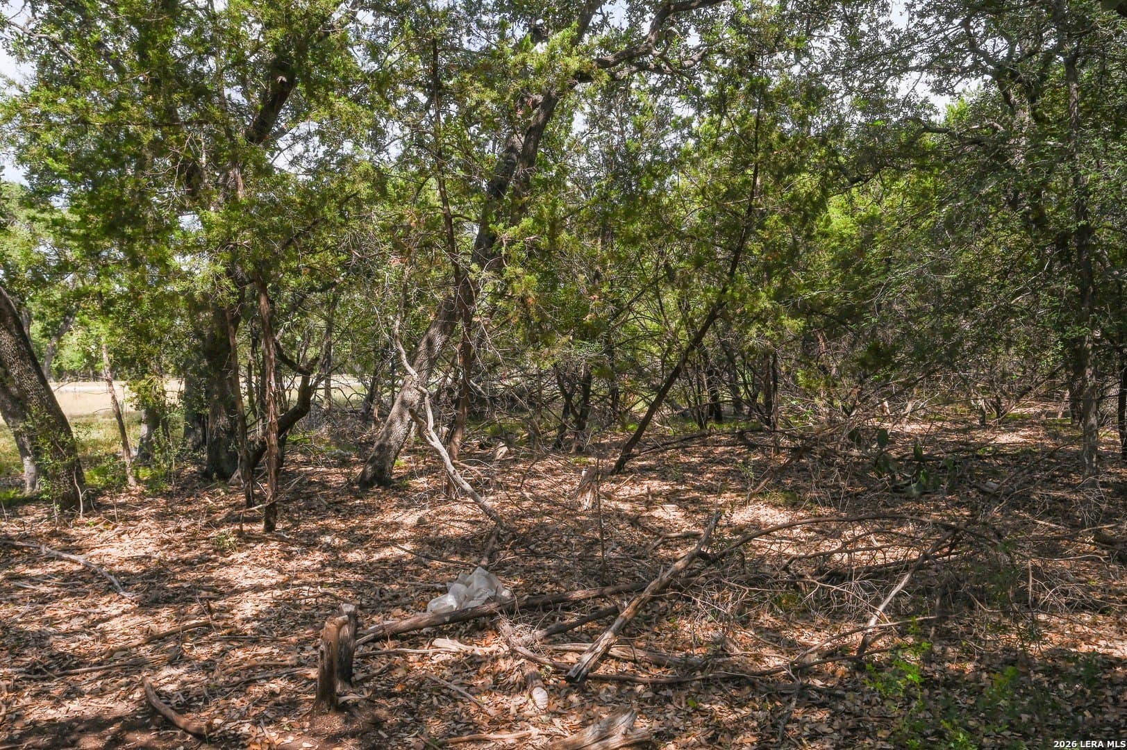 1 acres in Bexar County - photo 4
