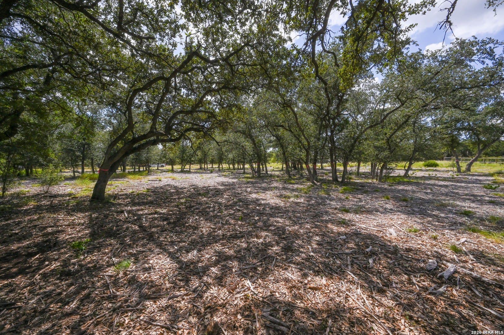 1 acres in Bexar County - photo 5