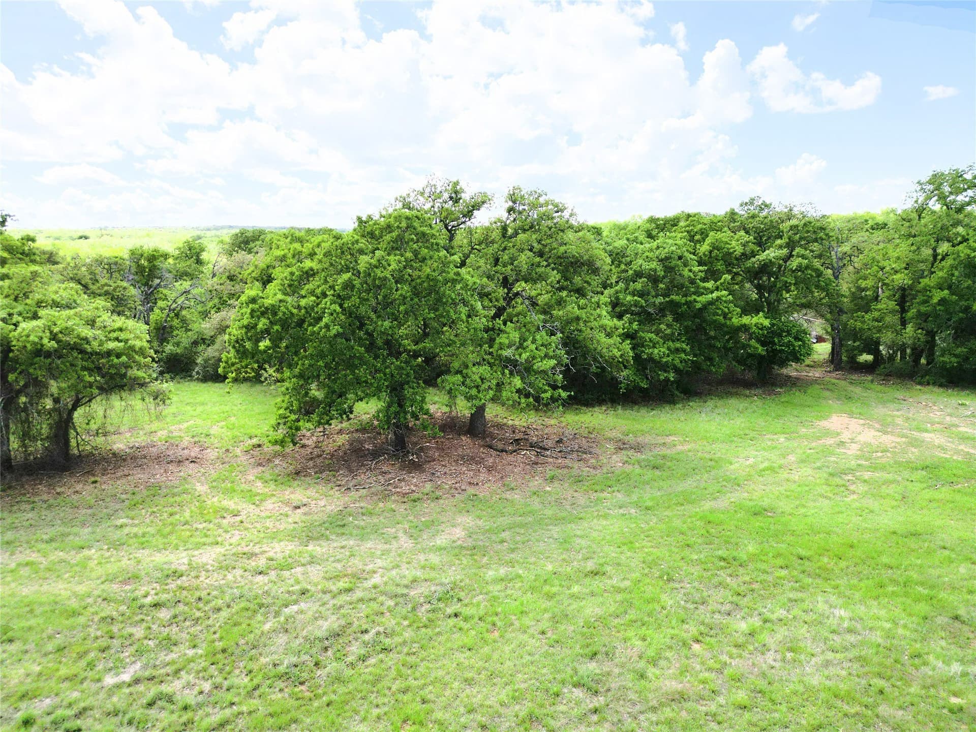 75.57 acres in Eastland County - photo 6