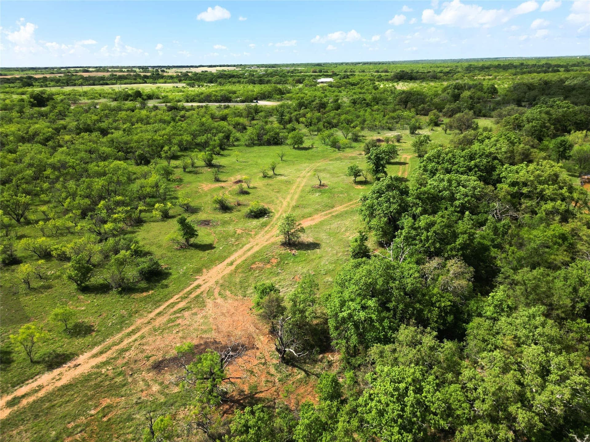 75.57 acres in Eastland County - photo 14