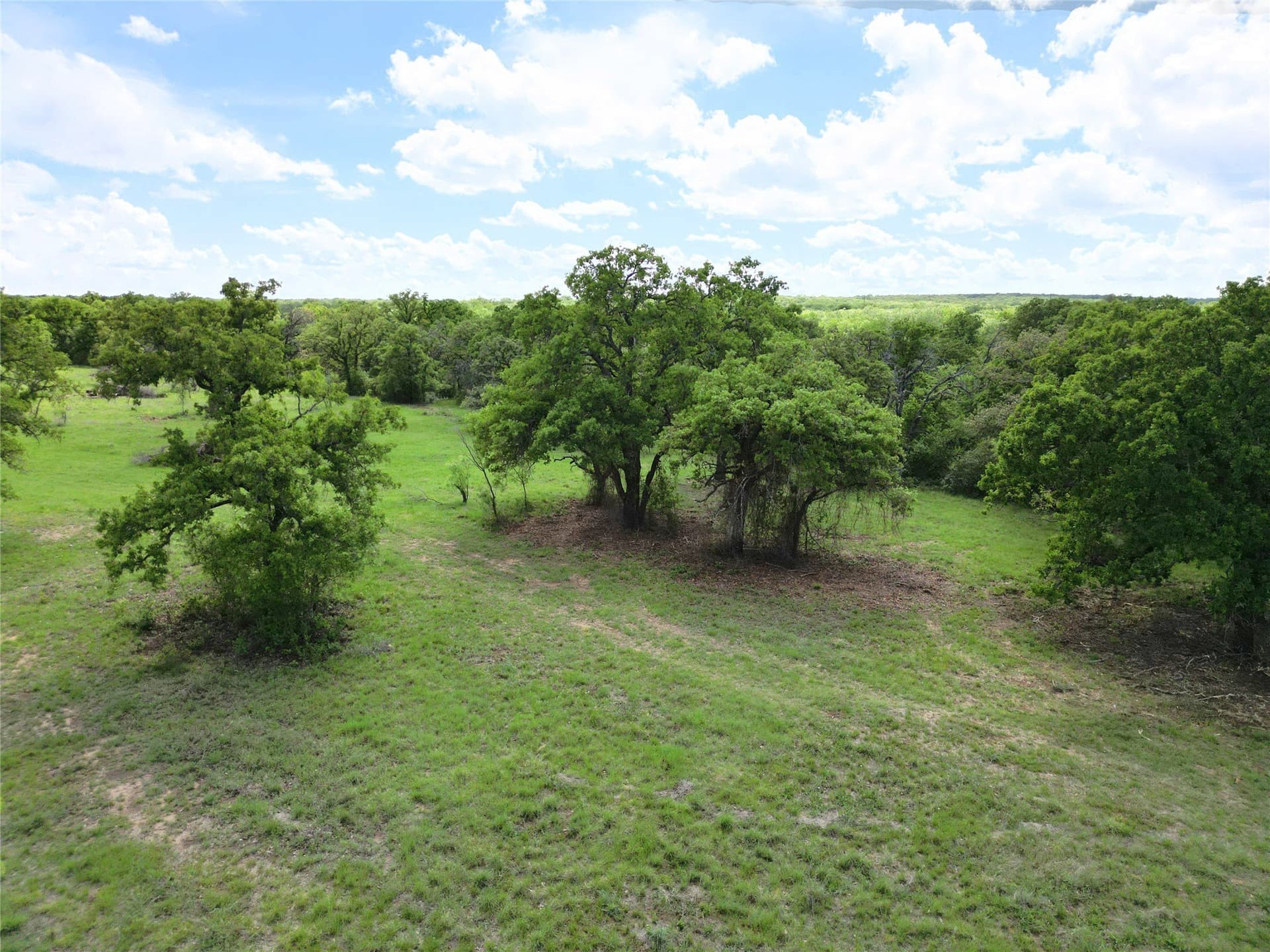 75.57 acres in Eastland County - photo 5