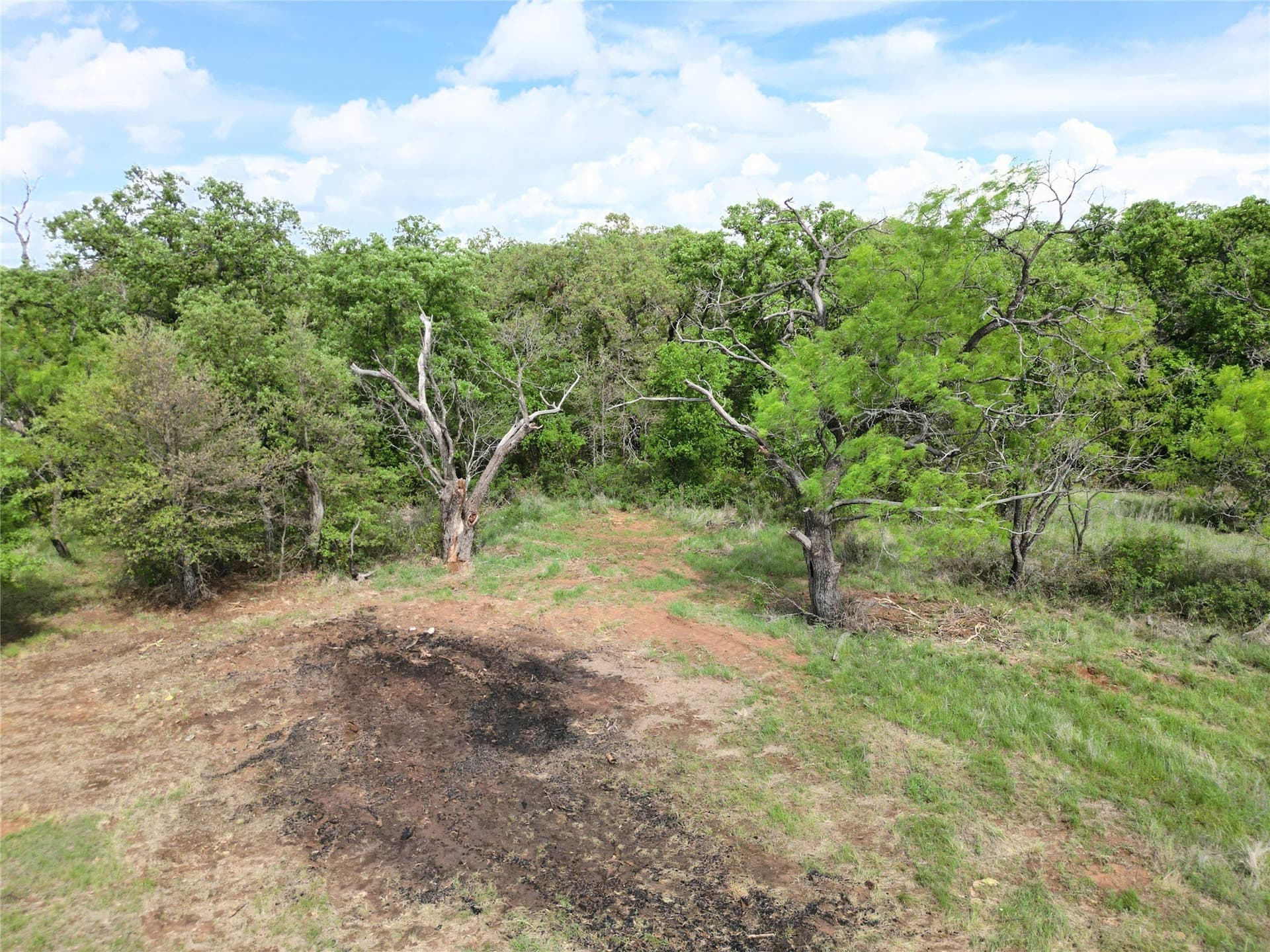 75.57 acres in Eastland County - photo 23