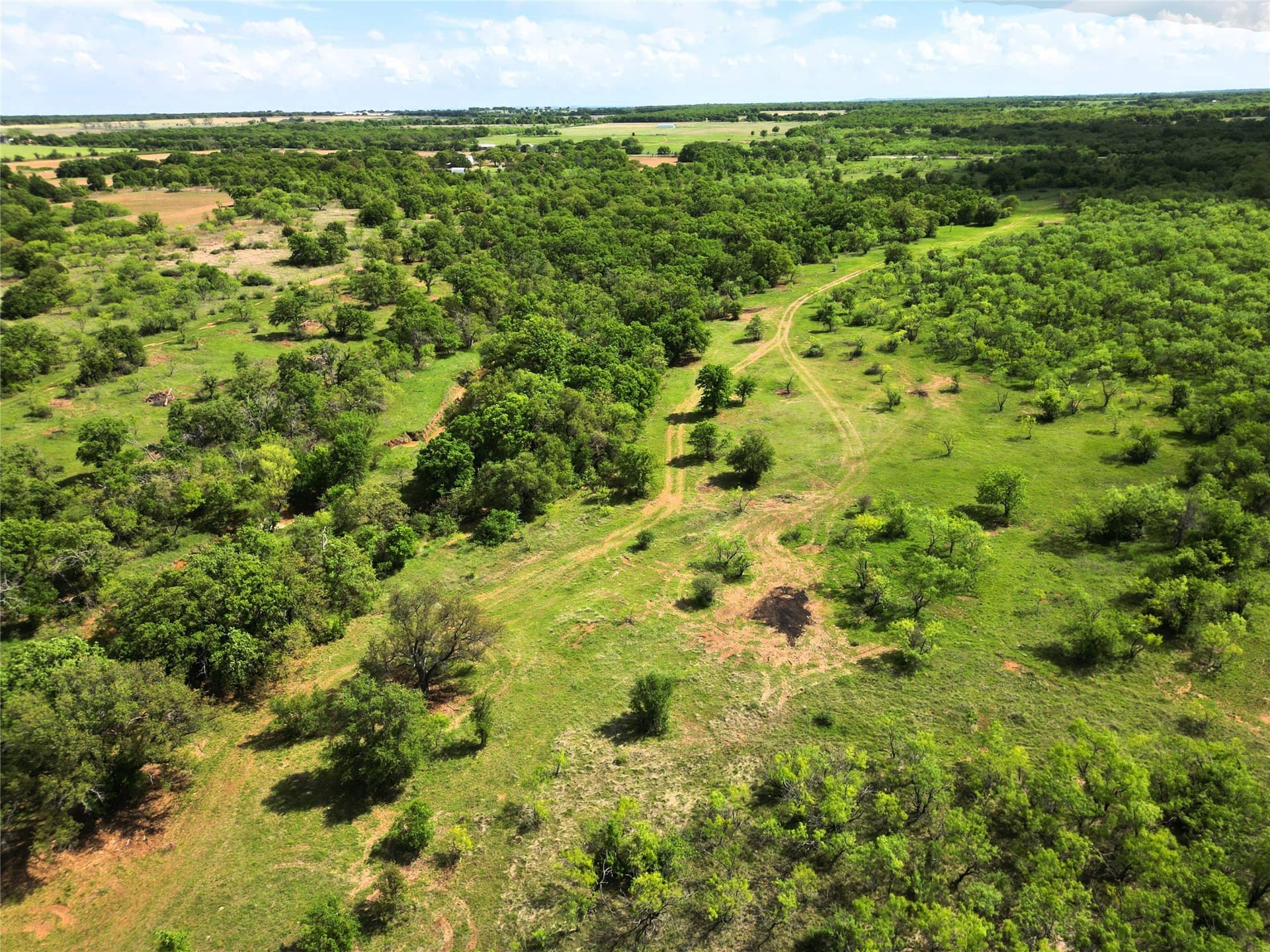 75.57 acres in Eastland County - photo 3