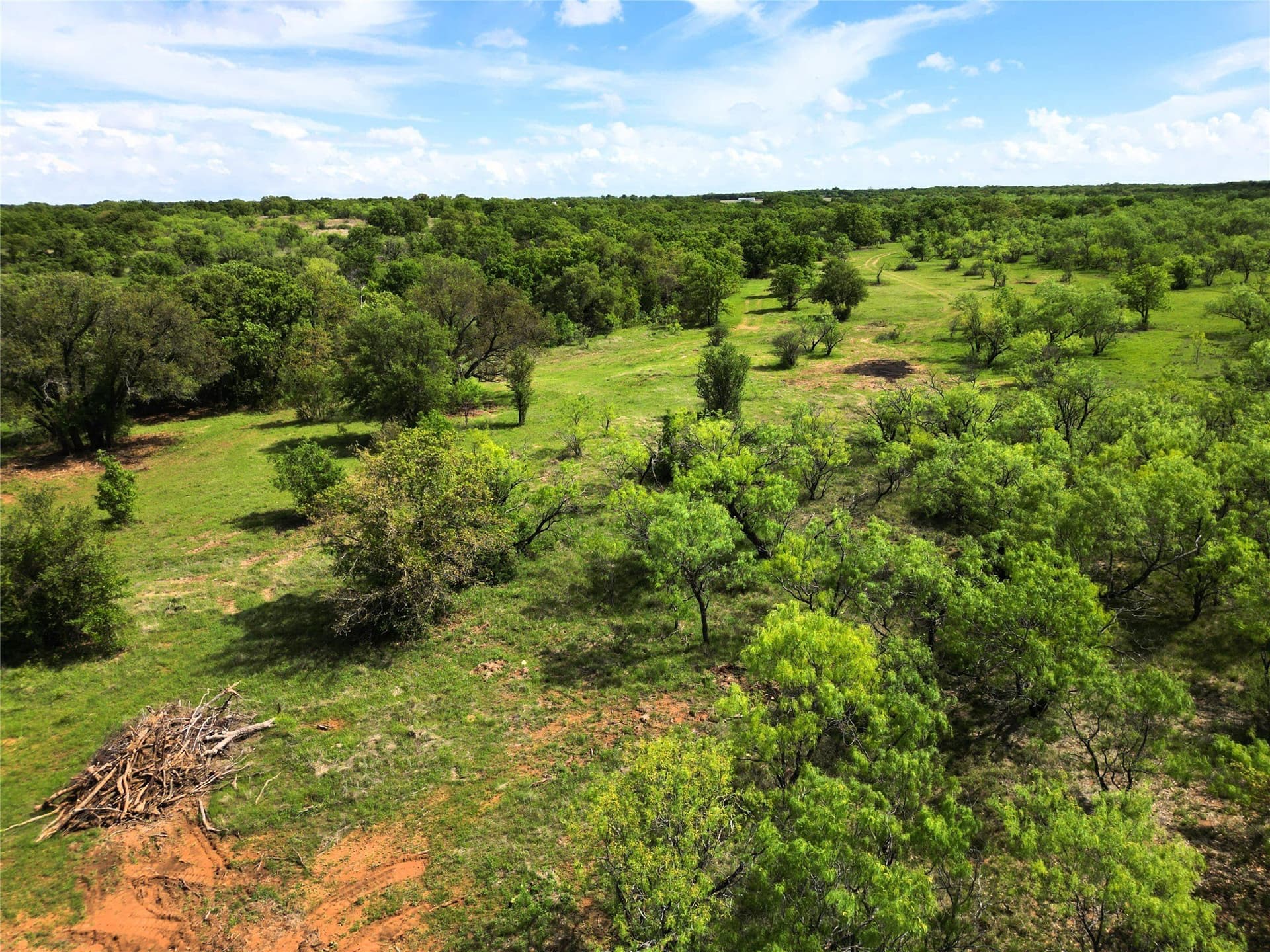 75.57 acres in Eastland County - photo 19