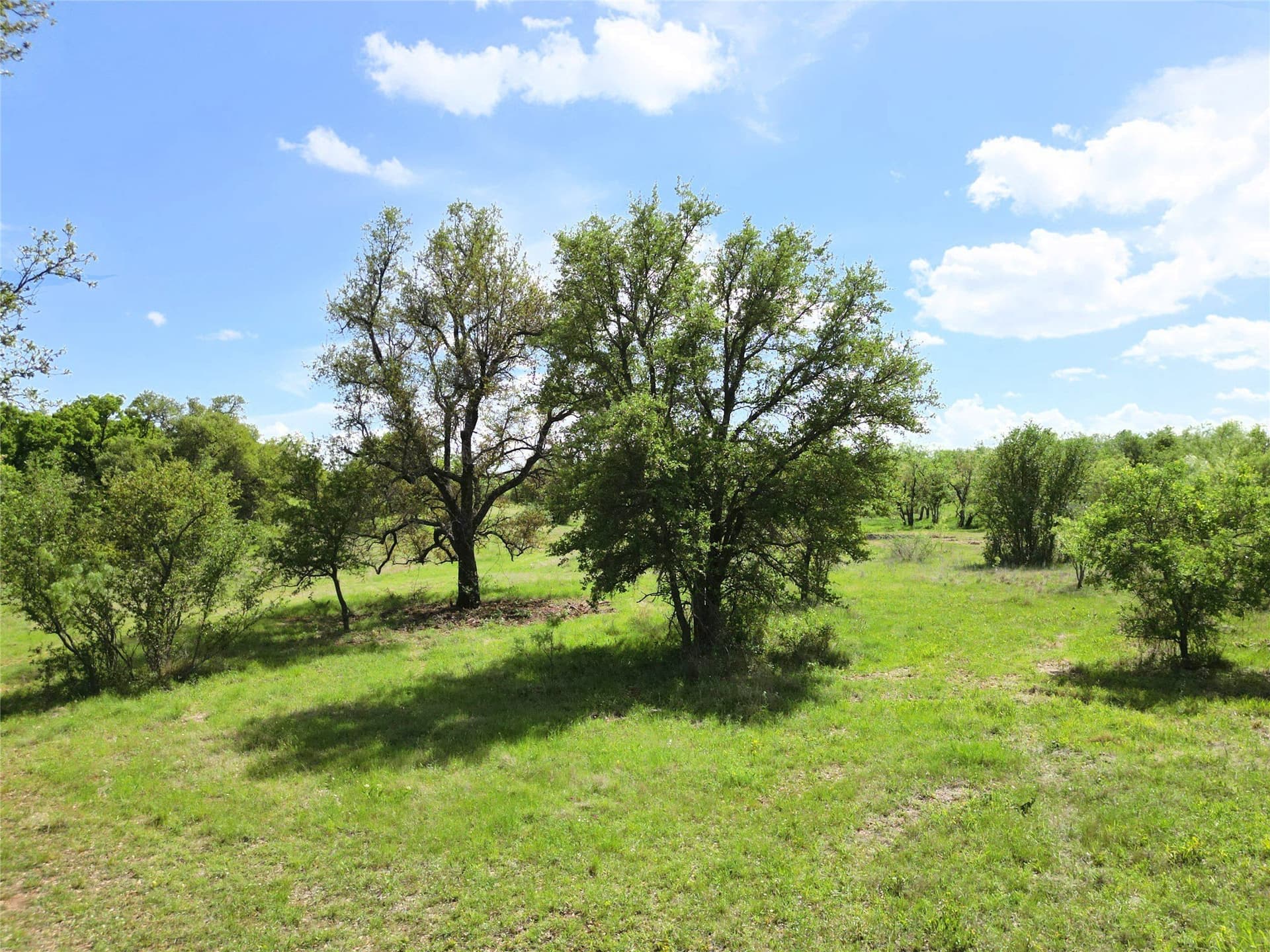75.57 acres in Eastland County - photo 7