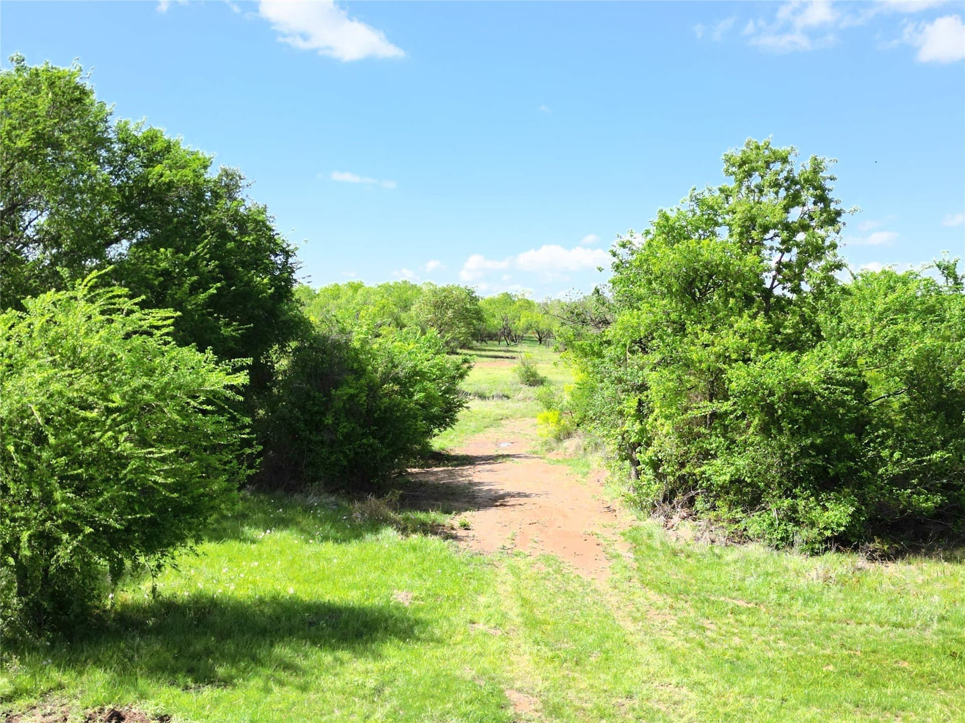 75.57 acres in Eastland County - photo 25