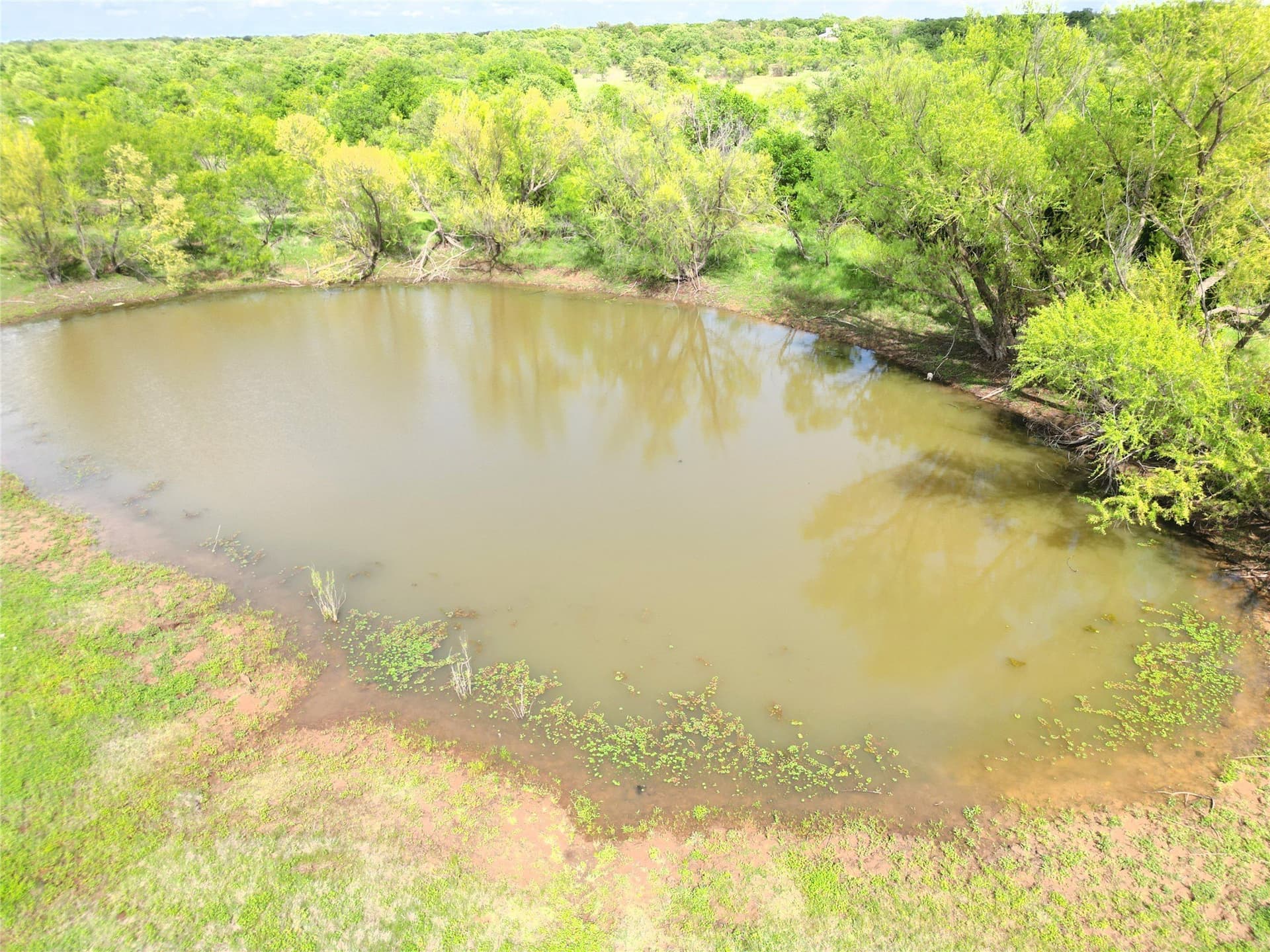 75.57 acres in Eastland County - photo 4