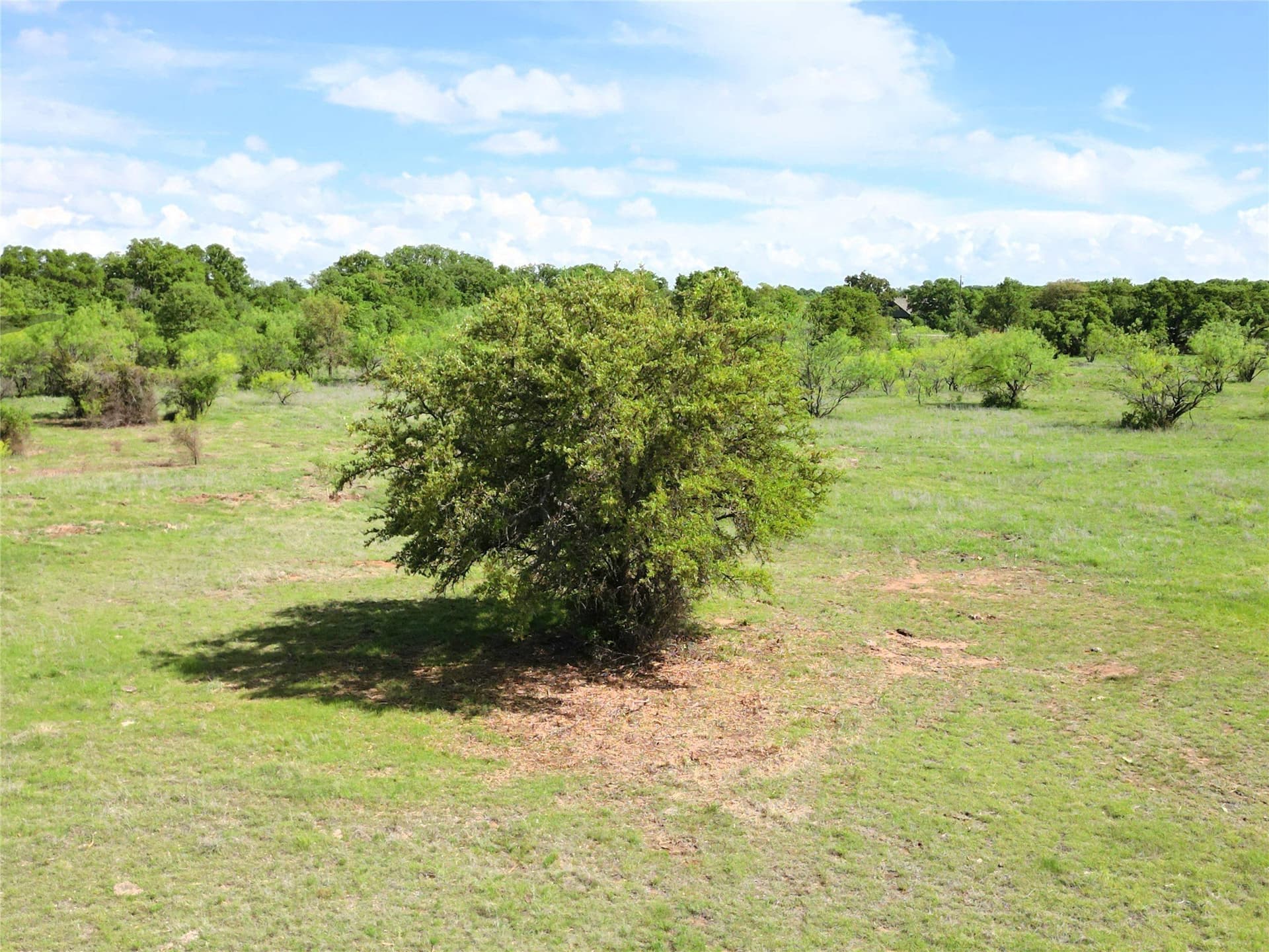 75.57 acres in Eastland County - photo 15