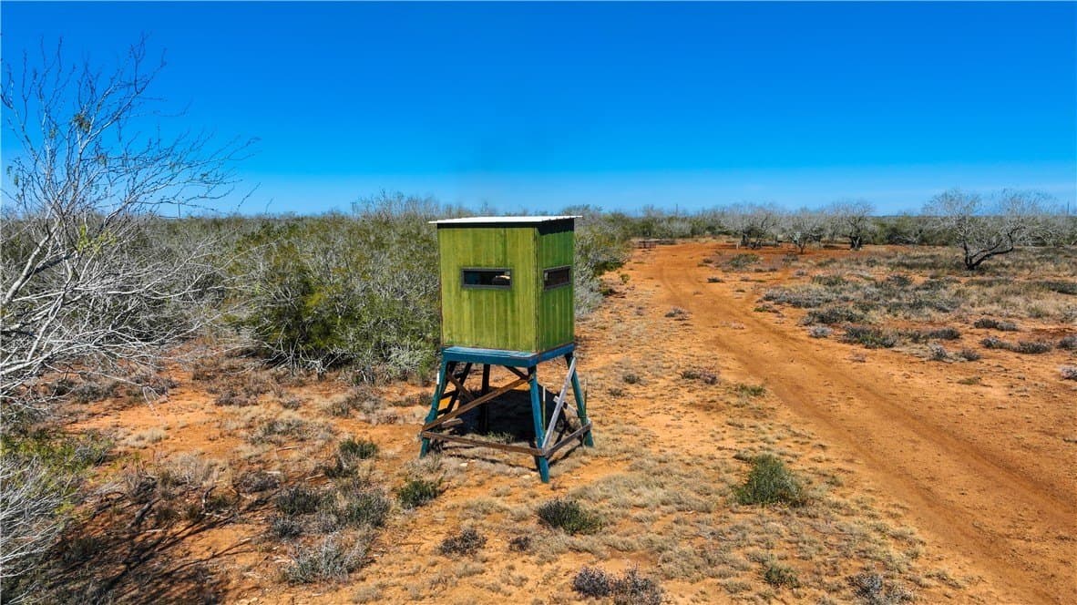 34.98 acres in Jim Wells County gallery image 4