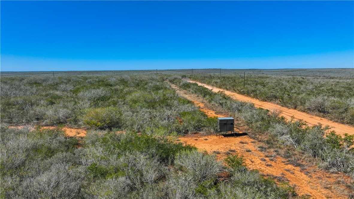 34.98 acres in Jim Wells County gallery image 3
