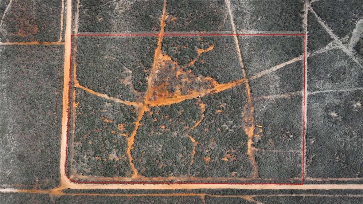 34.98 acres in Jim Wells County gallery image 2