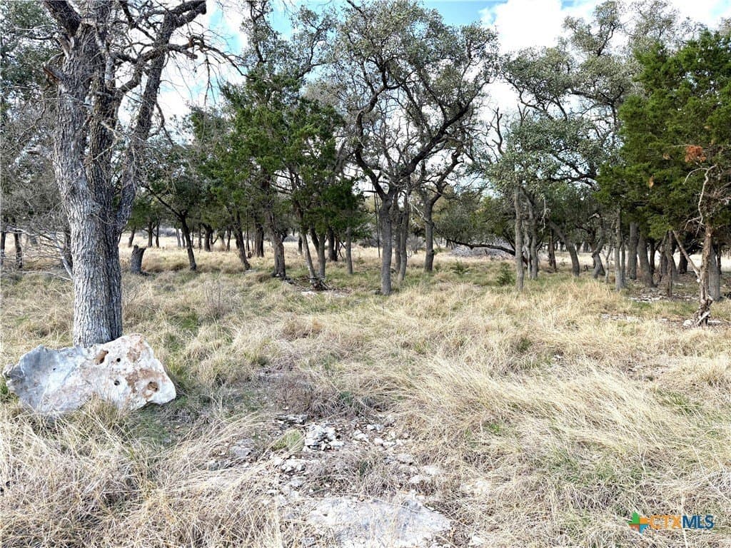 6.13 acres in Williamson County - photo 14