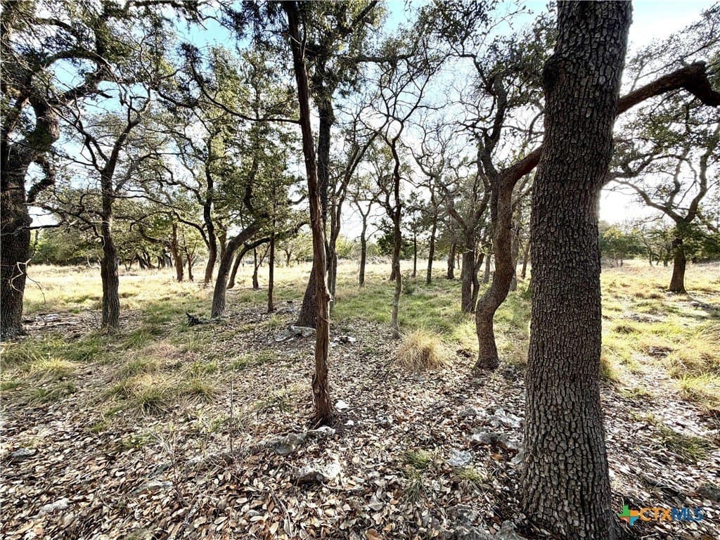 6.13 acres in Williamson County - photo 13