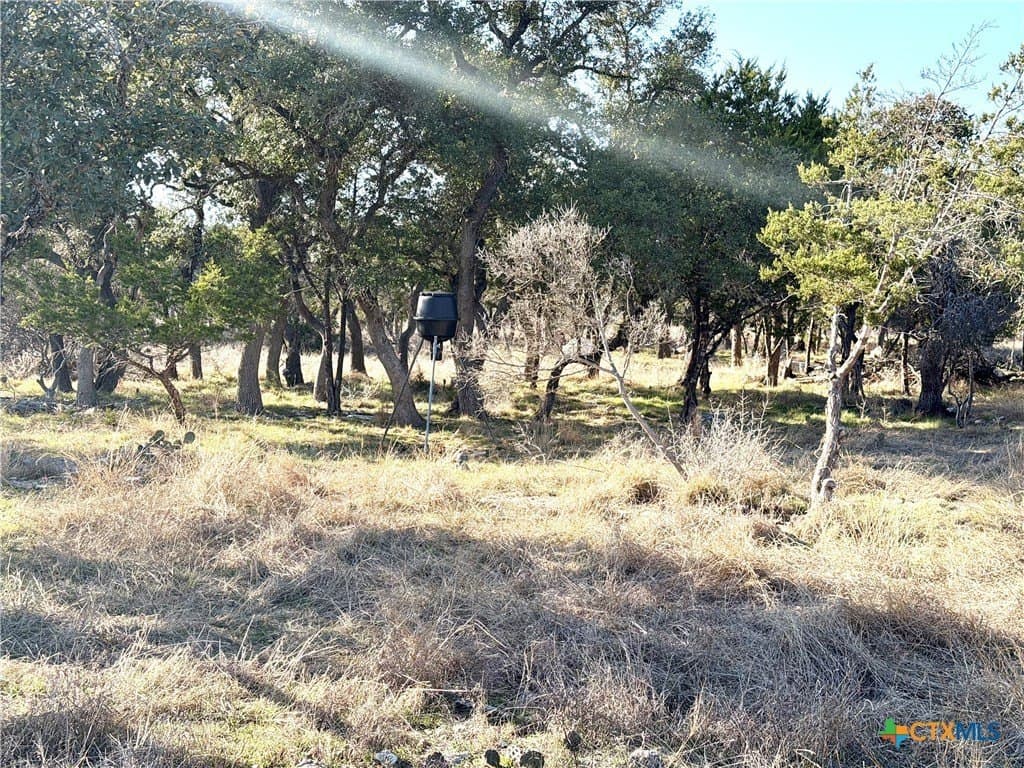 6.13 acres in Williamson County - photo 9