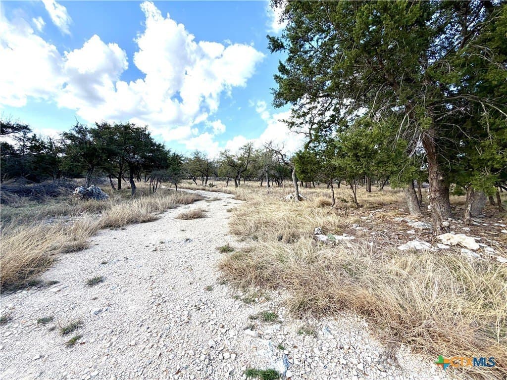 6.13 acres in Williamson County - photo 12