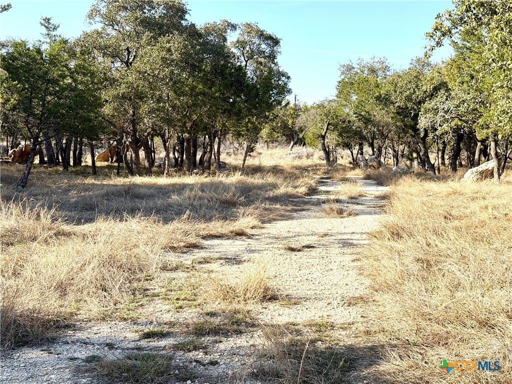 6.13 acres in Williamson County - photo 7
