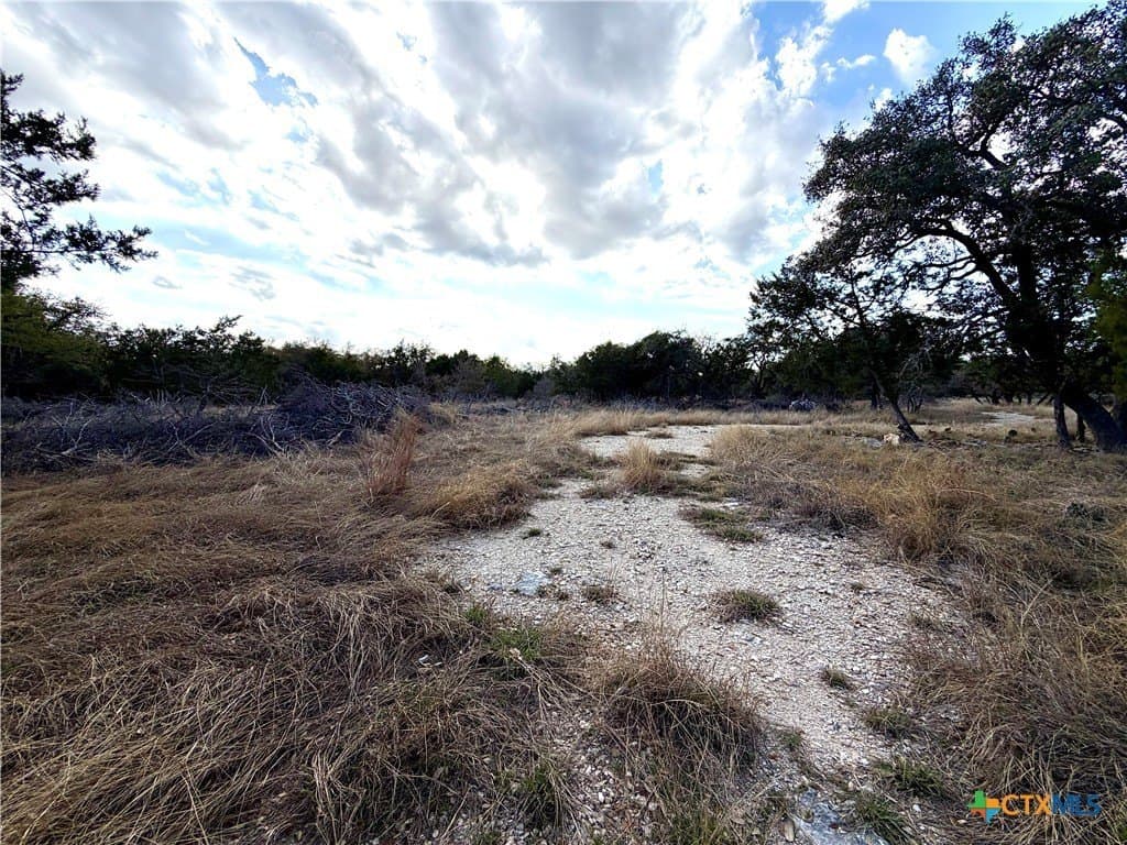 6.13 acres in Williamson County - photo 11