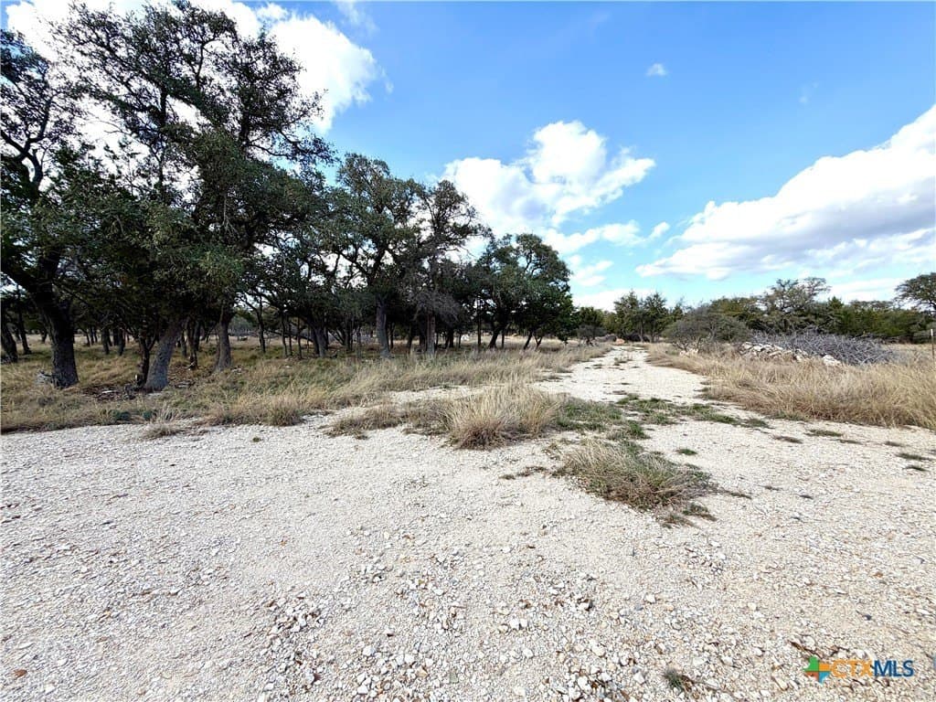 6.13 acres in Williamson County - photo 15