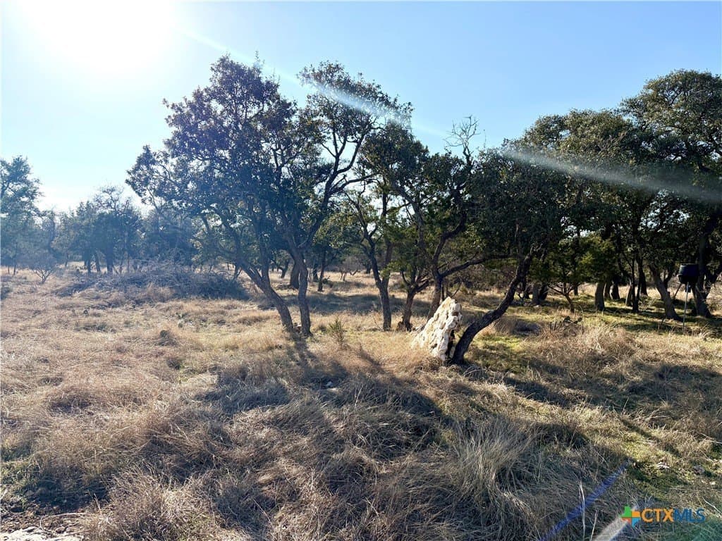 6.13 acres in Williamson County - photo 2