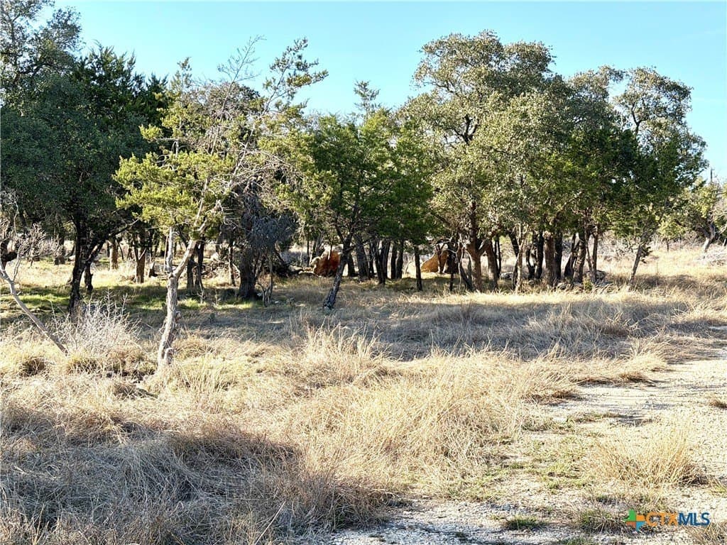 6.13 acres in Williamson County - photo 8