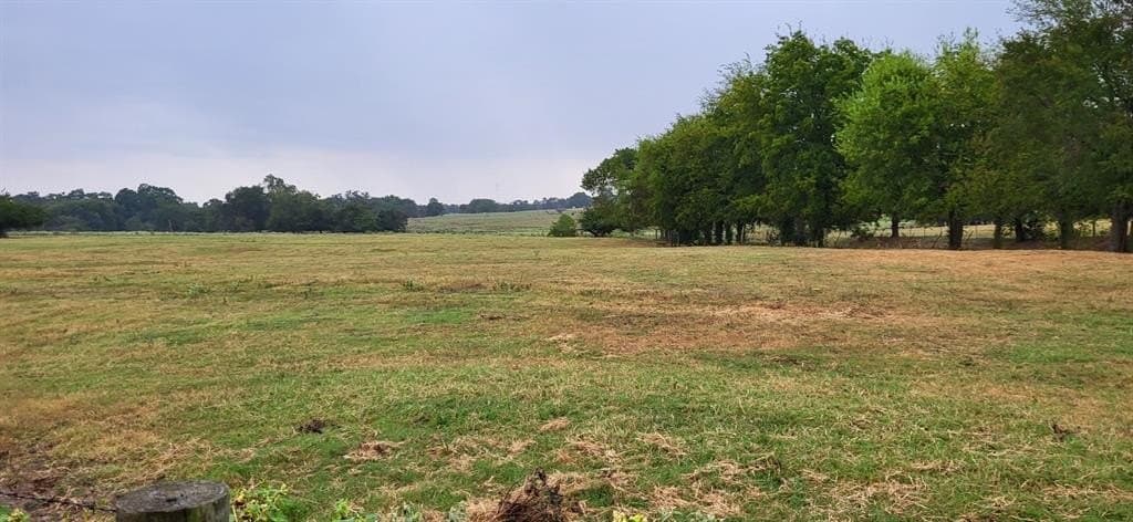 58.91 acres in Wood County gallery image 4