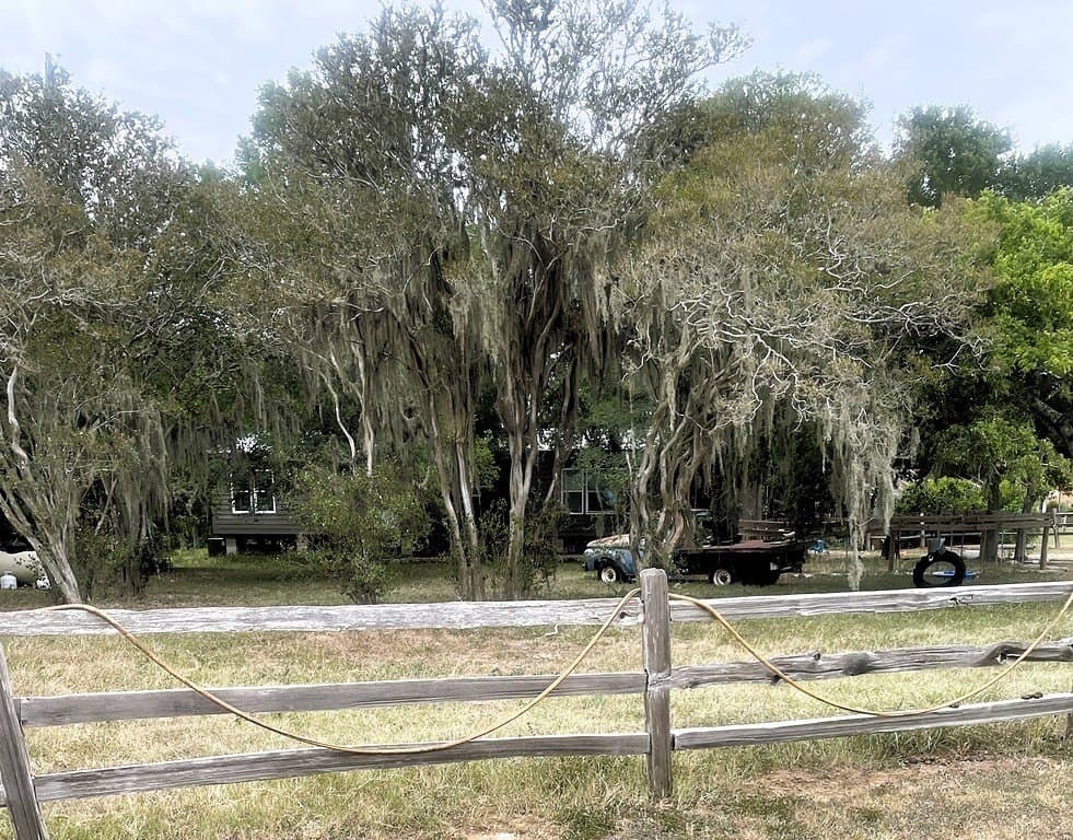 9.64 acres in Lavaca County gallery image 2