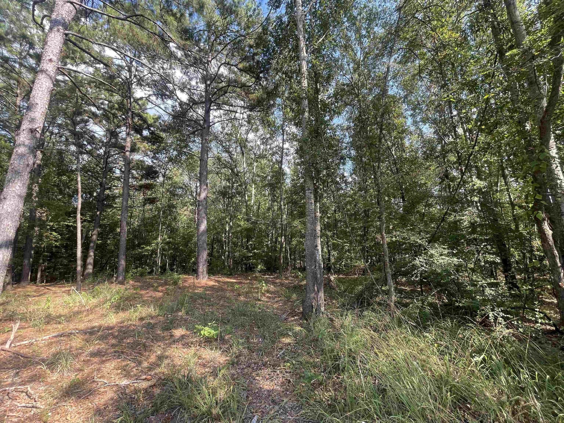 15.23 acres in Cherokee County - photo 7