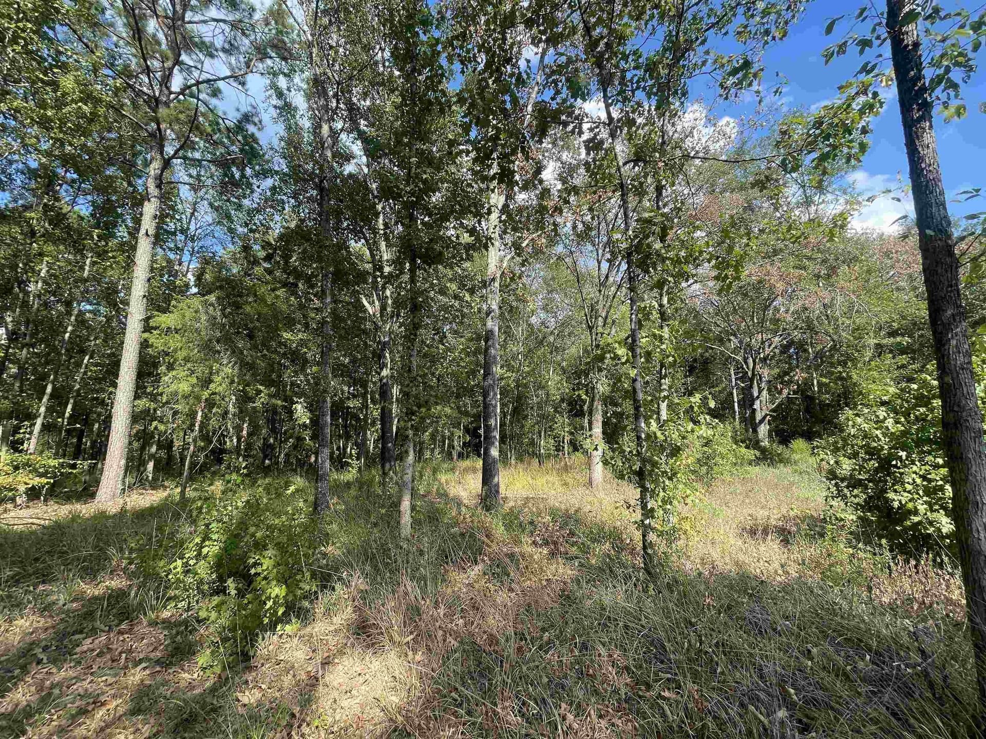 15.23 acres in Cherokee County - photo 6