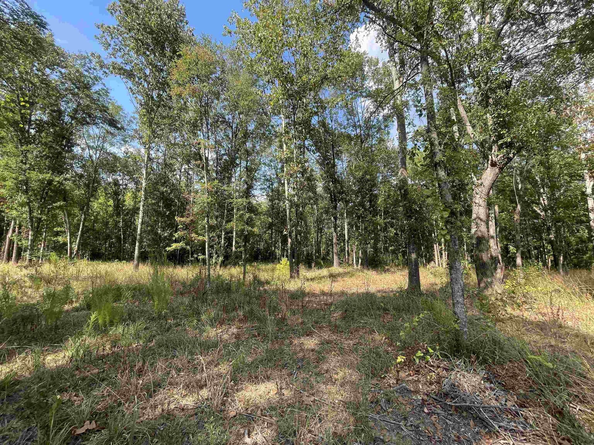 15.23 acres in Cherokee County - photo 5