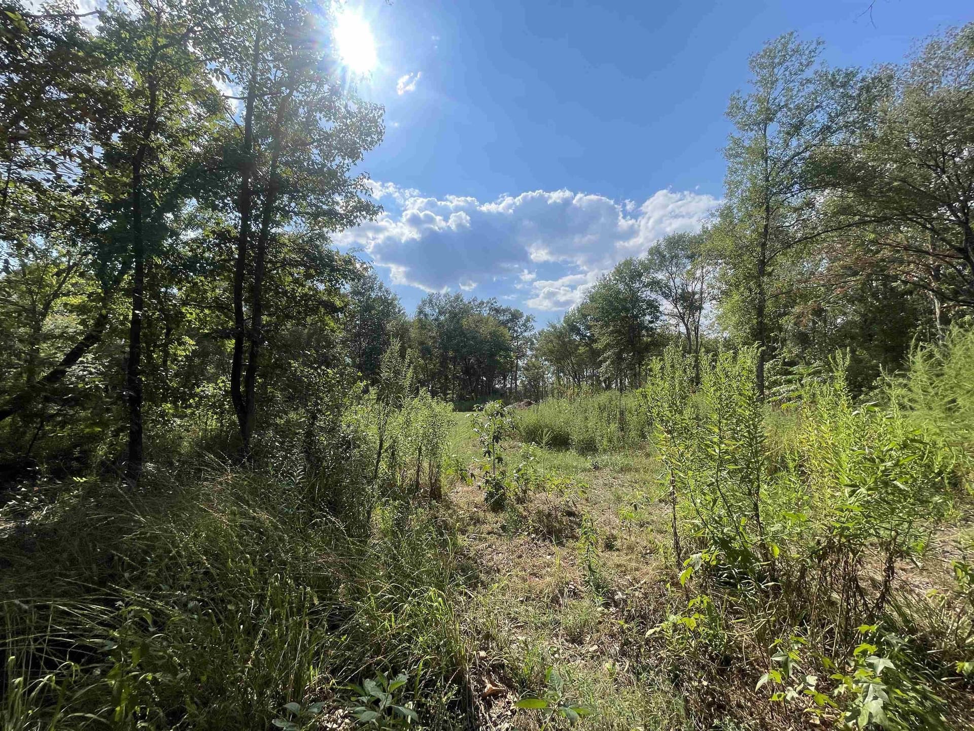 15.23 acres in Cherokee County - photo 8
