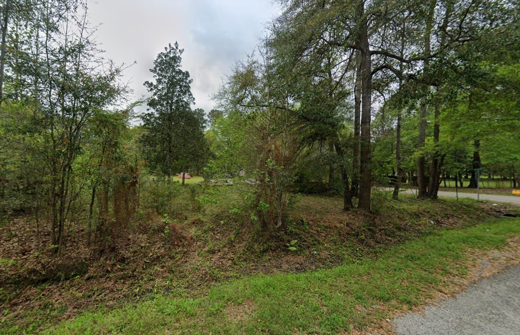 1.29 acres in Liberty County - photo 2