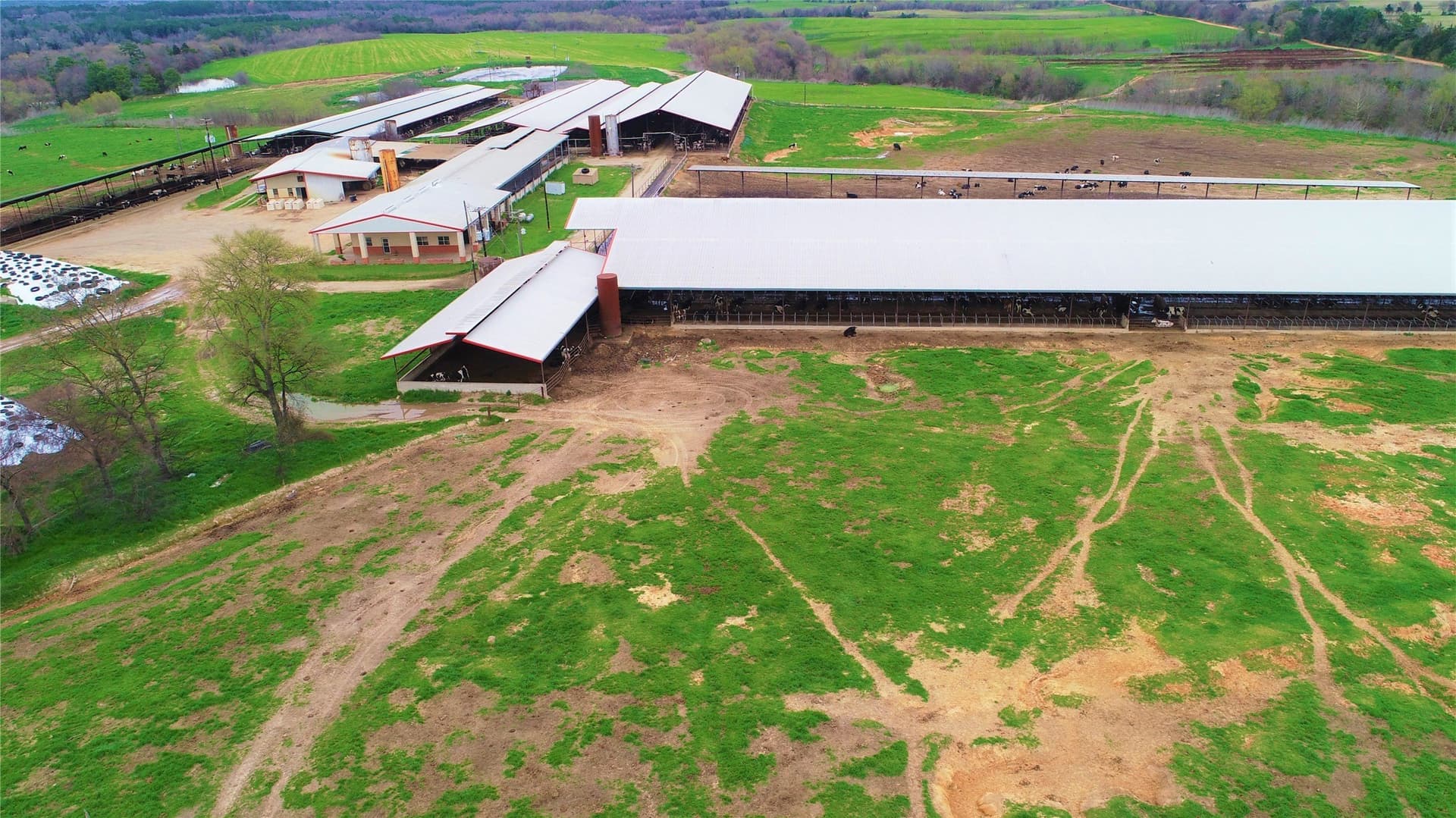 922.35 acres in Wood County - photo 12
