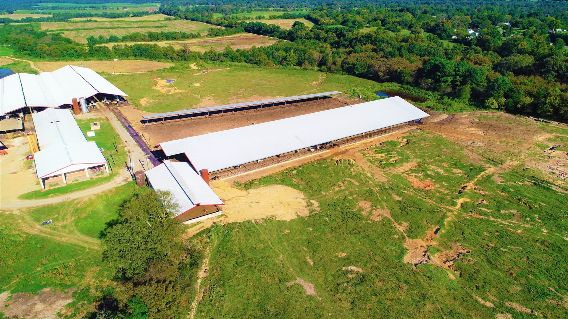 922.35 acres in Wood County - photo 7