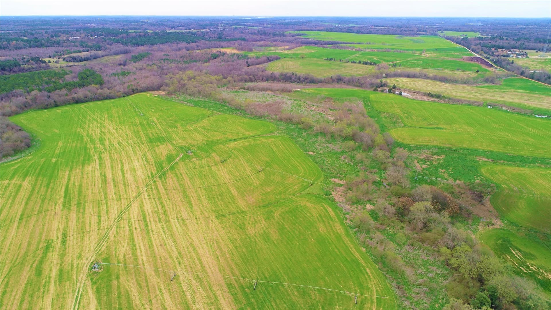 922.35 acres in Wood County - photo 17