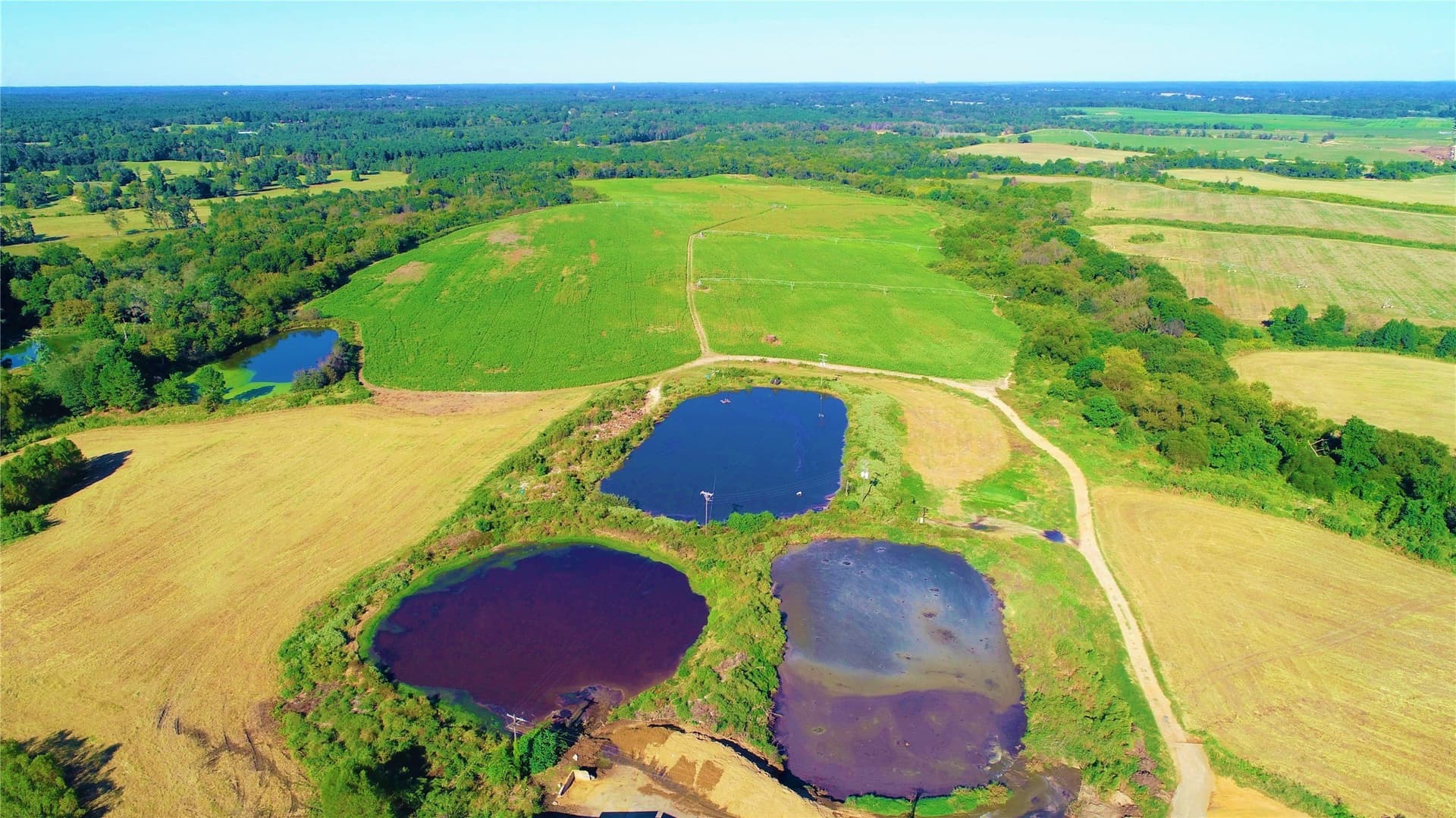 922.35 acres in Wood County - photo 15
