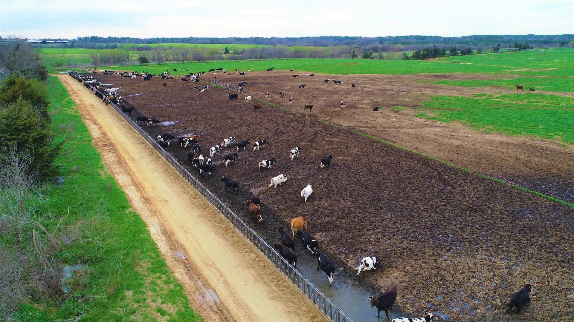 922.35 acres in Wood County - photo 19