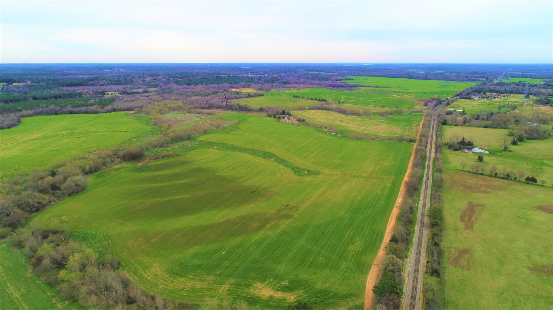 922.35 acres in Wood County - photo 18