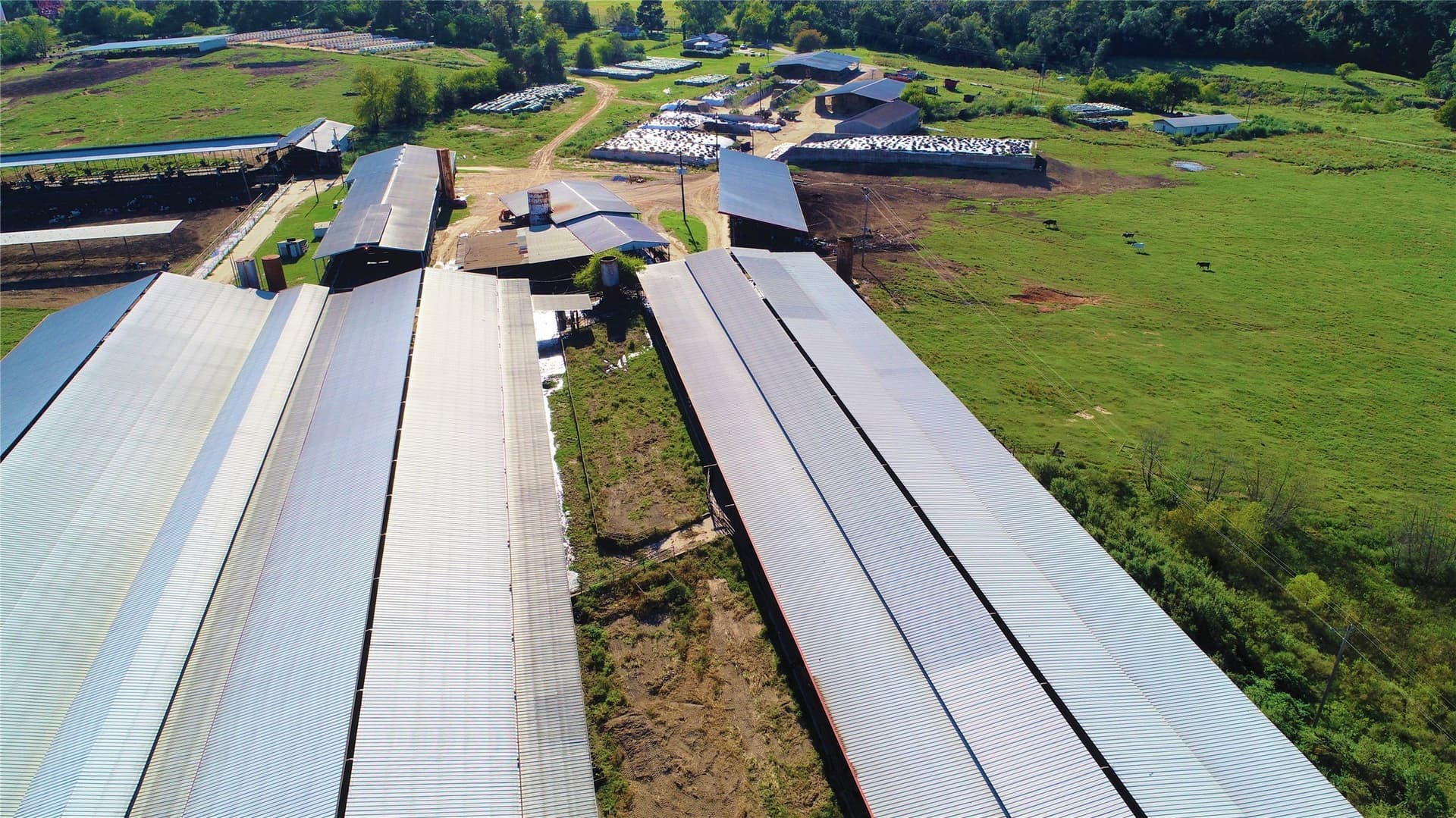 922.35 acres in Wood County - photo 9