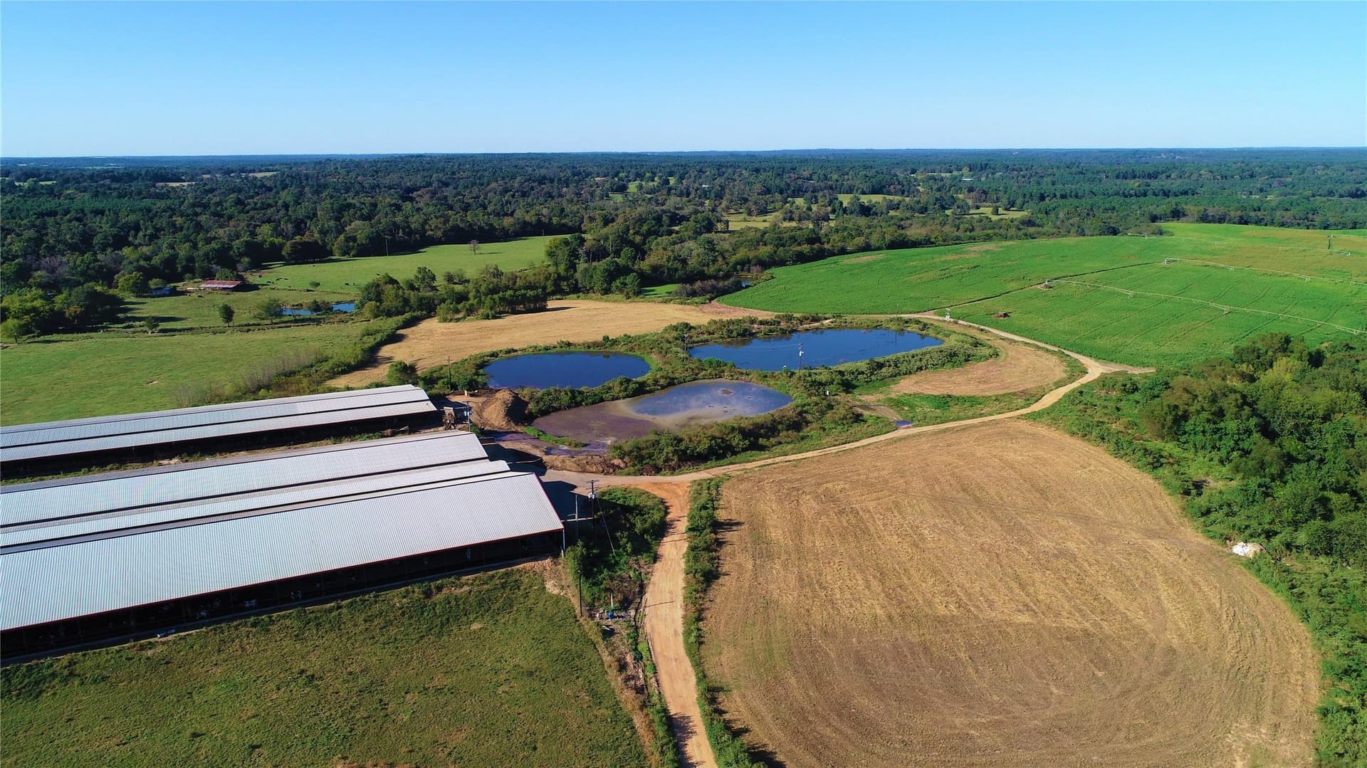 922.35 acres in Wood County - photo 10