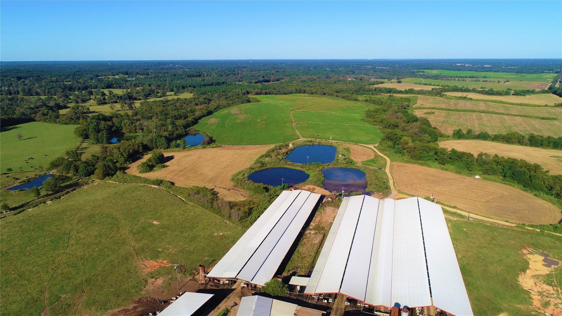 922.35 acres in Wood County - photo 11