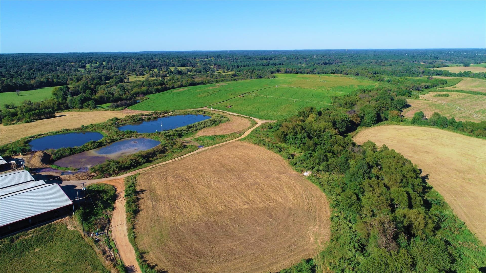 922.35 acres in Wood County - photo 14
