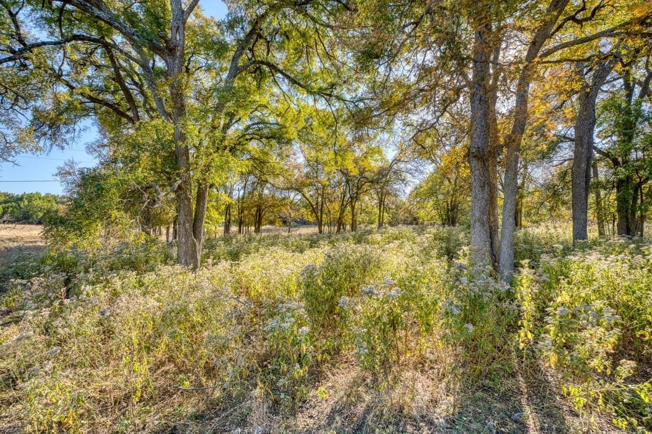 167.07 acres in Bell County - photo 20