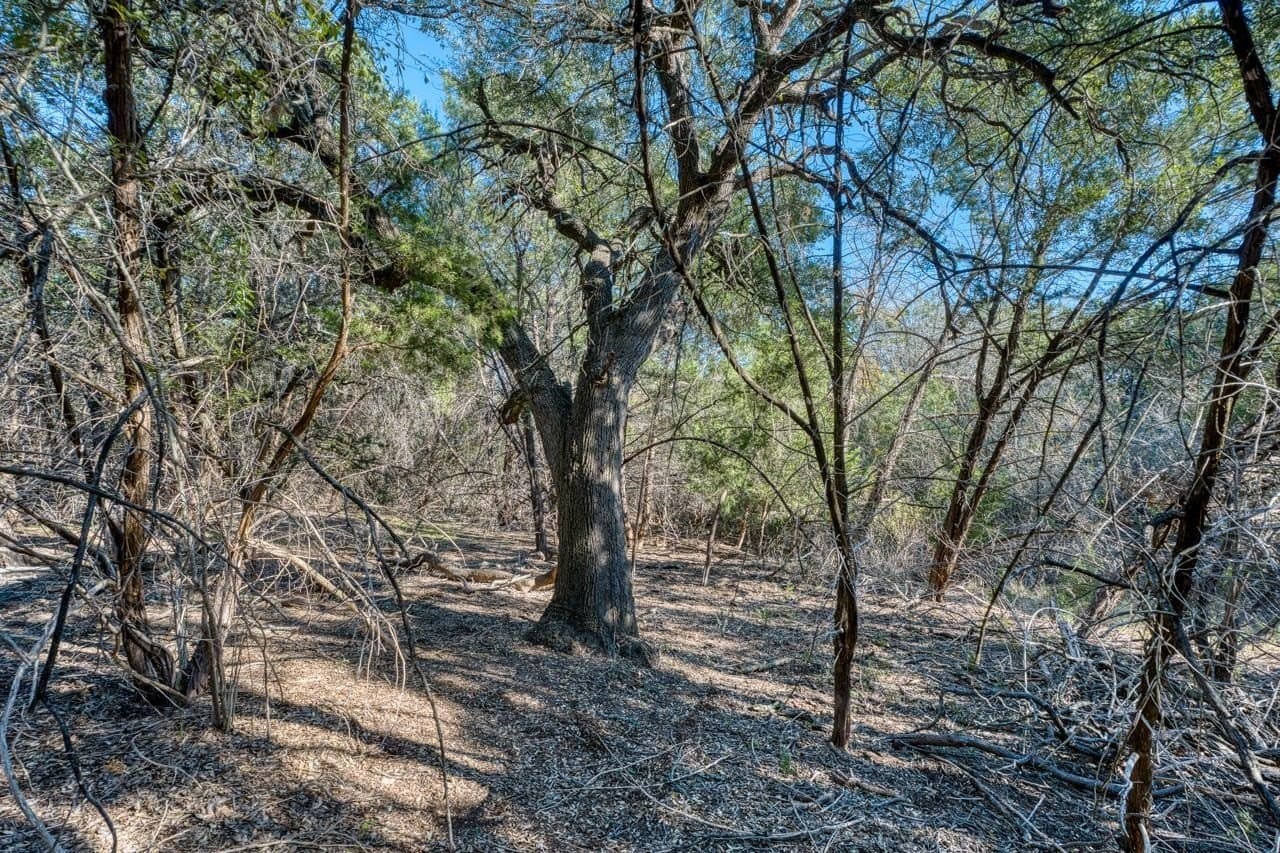 167.07 acres in Bell County - photo 22