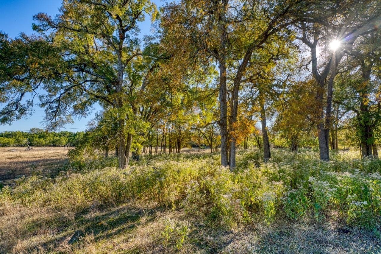 167.07 acres in Bell County - photo 21