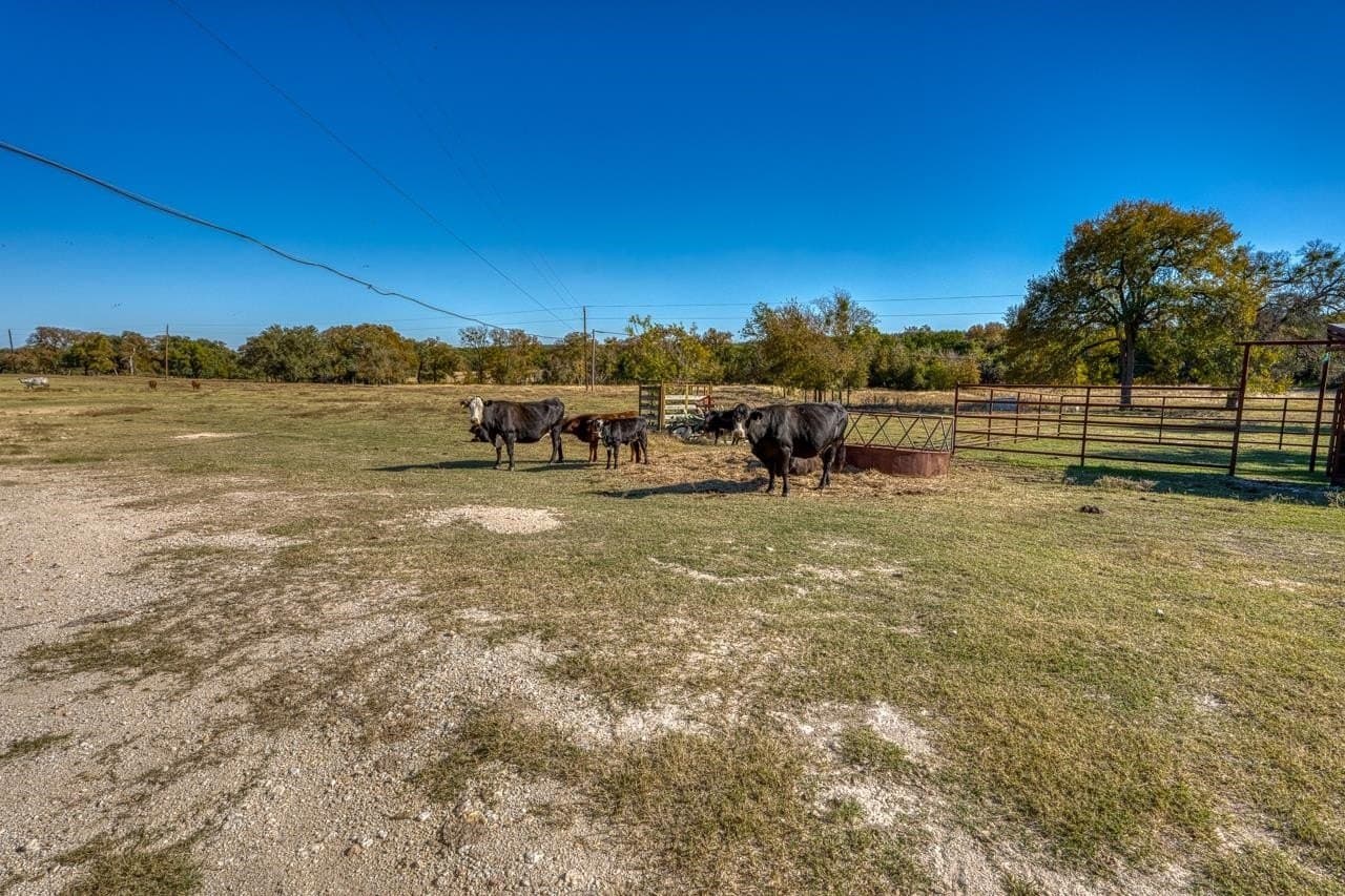 167.07 acres in Bell County - photo 25